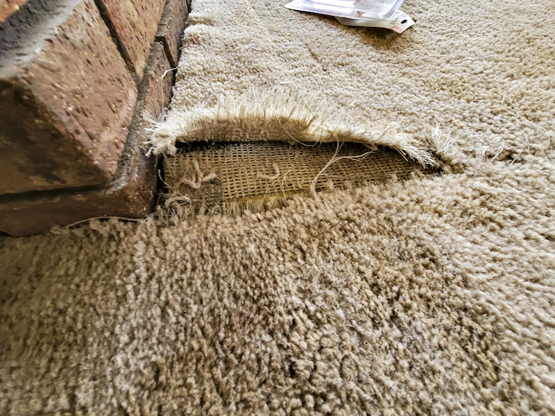 damaged carpet from pets
